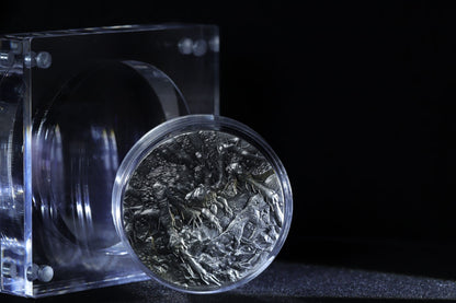 Cameroon - Tarantula Spiders - 2 oz