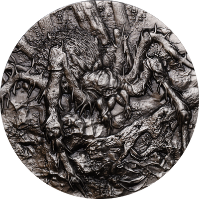 Cameroon - Tarantula Spiders - 2 oz