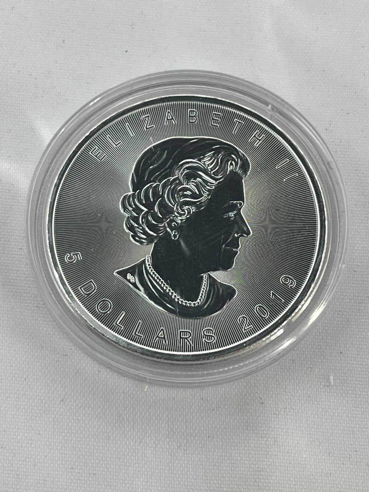 Skulls 12 x 1 oz