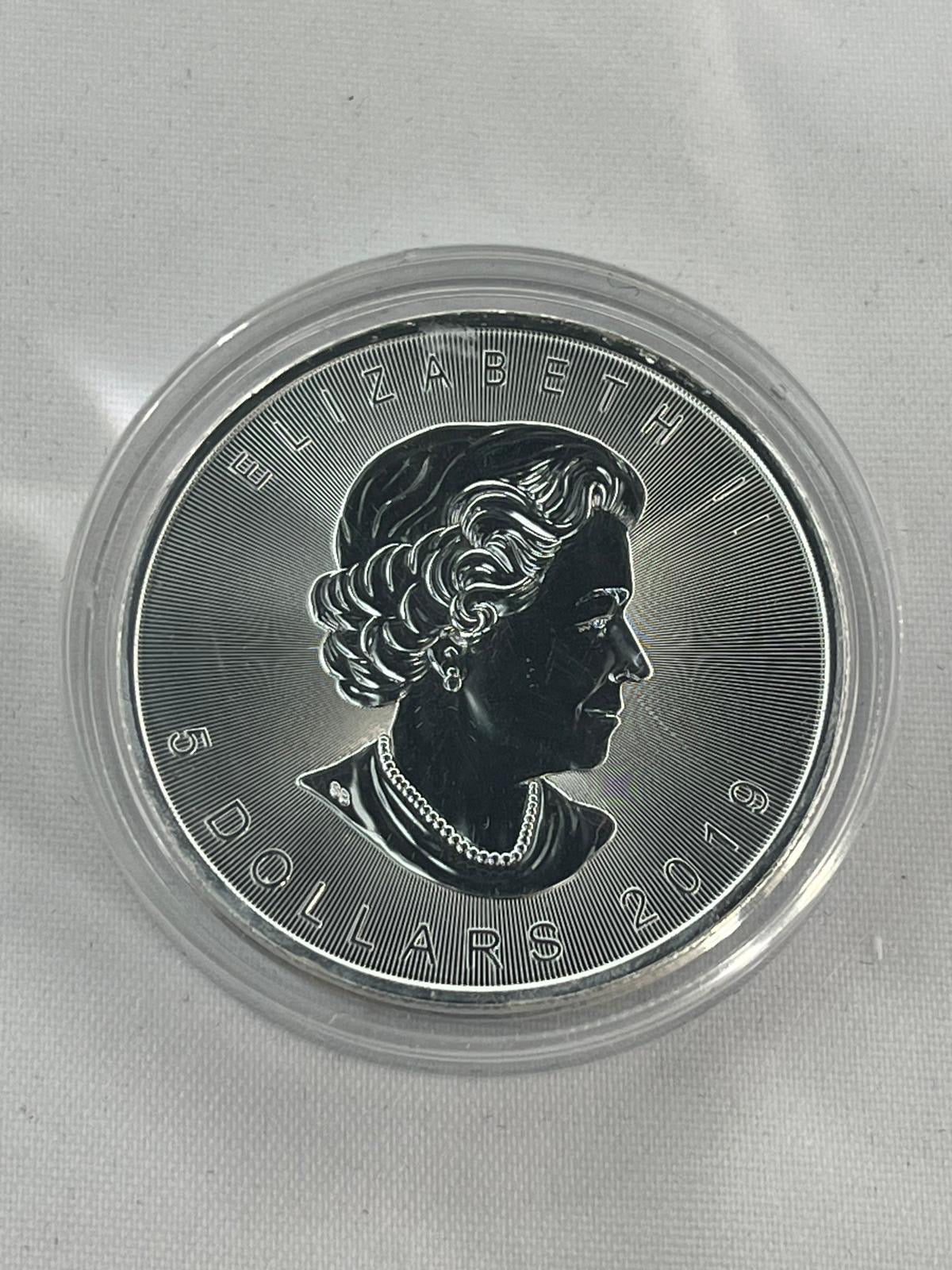 Skulls 12 x 1 oz