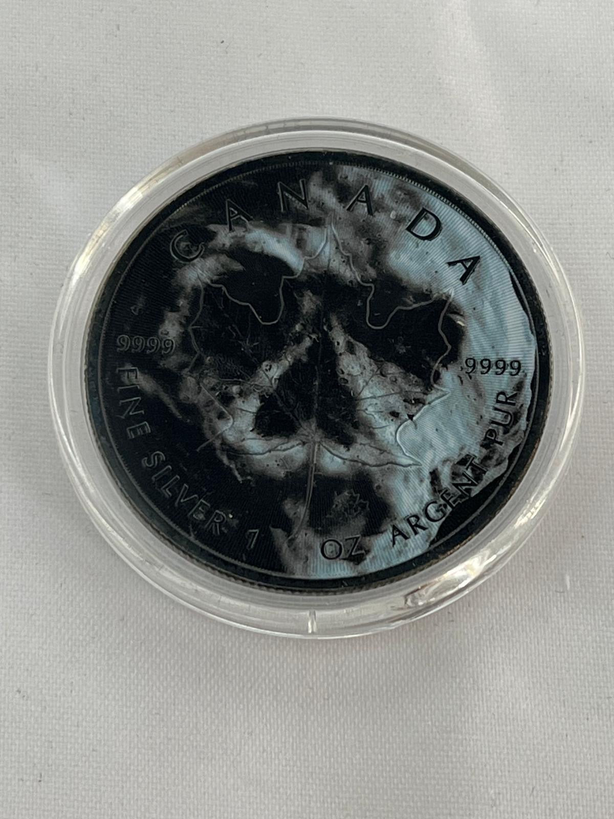 Skulls 12 x 1 oz