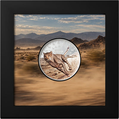 Cook Islands - Born for Speed – Cheetah