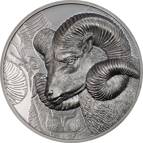 Mongolia - Magnificent Argali - Black Proof