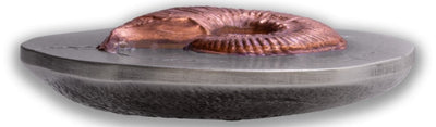 Niue - Fossil 3D Series – Ammonite