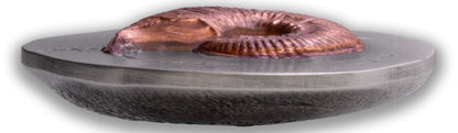 Niue - Fossil 3D Series – Ammonite