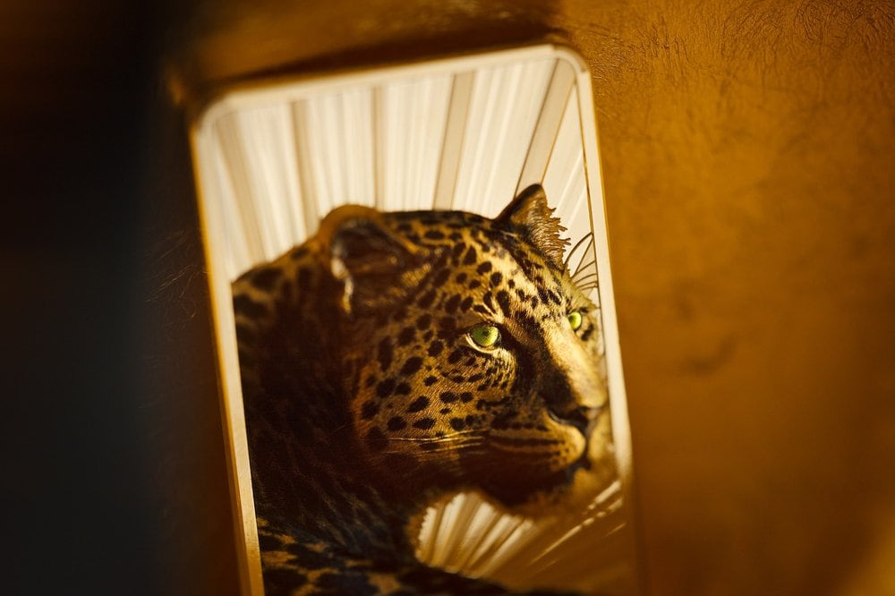 Cook Islands - Barre de Luxe – Leopard