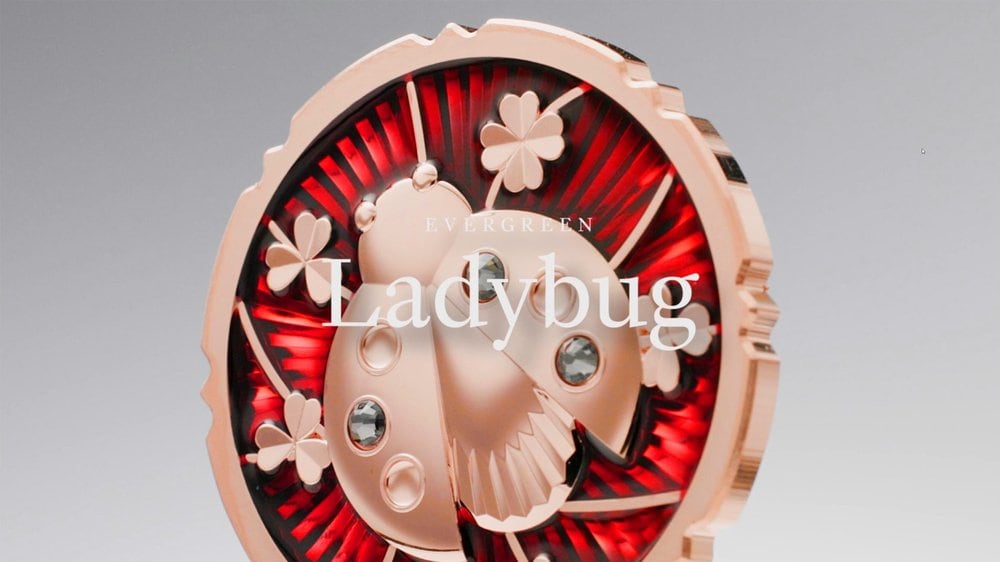 Cook Islands - Evergreen – Ladybug