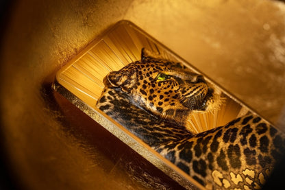 Cook Islands - Barre de Luxe – Leopard