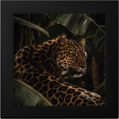 Cook Islands - Barre de Luxe – Leopard