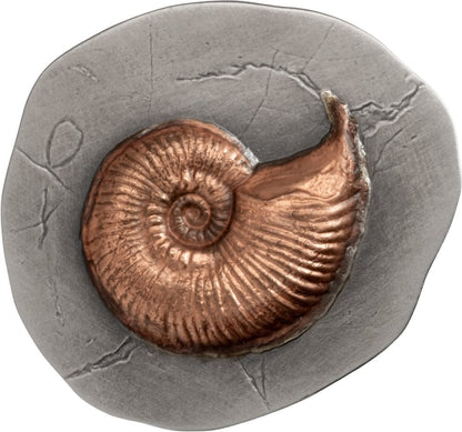 Niue - Fossil 3D Series – Ammonite