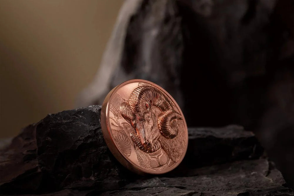 Mongolia - Wild Mongolia 2022 – Magnificent Argali - 50 g