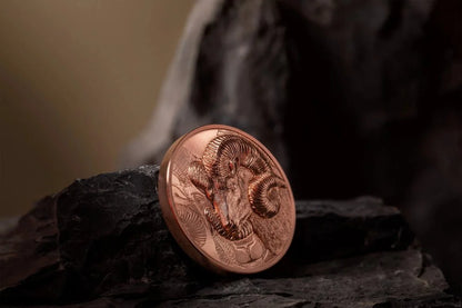 Mongolia - Wild Mongolia 2022 – Magnificent Argali - 50 g