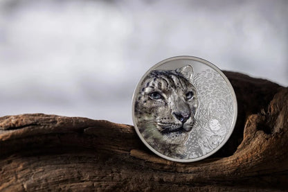Mongolia - Wild Mongolia 2024 – Snow Leopard - 1 oz