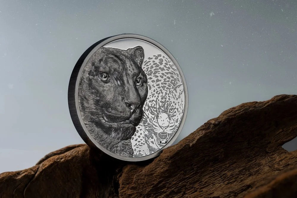 Mongolia - Wild Mongolia 2024 – Snow Leopard - 2 oz