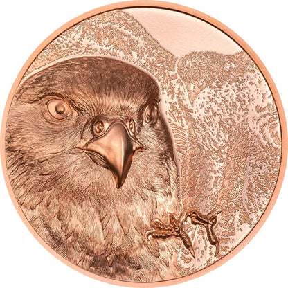 Mongolia - Wild Mongolia 2023 – Mongolian Falcon - 50 g