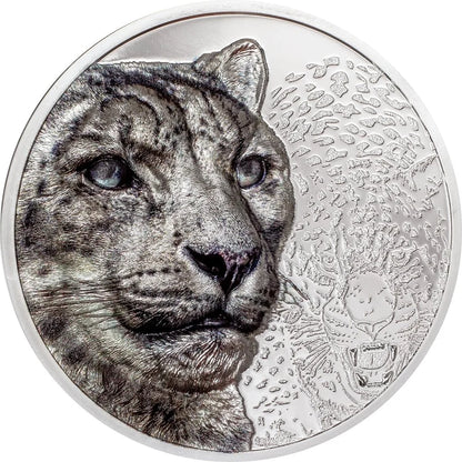 Mongolia - Wild Mongolia 2024 – Snow Leopard - 3 oz