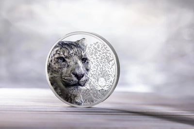 Mongolia - Wild Mongolia 2024 – Snow Leopard - 3 oz