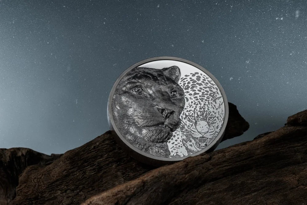 Mongolia - Wild Mongolia 2024 – Snow Leopard - 2 oz