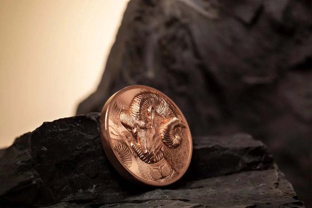 Mongolia - Wild Mongolia 2022 – Magnificent Argali - 50 g