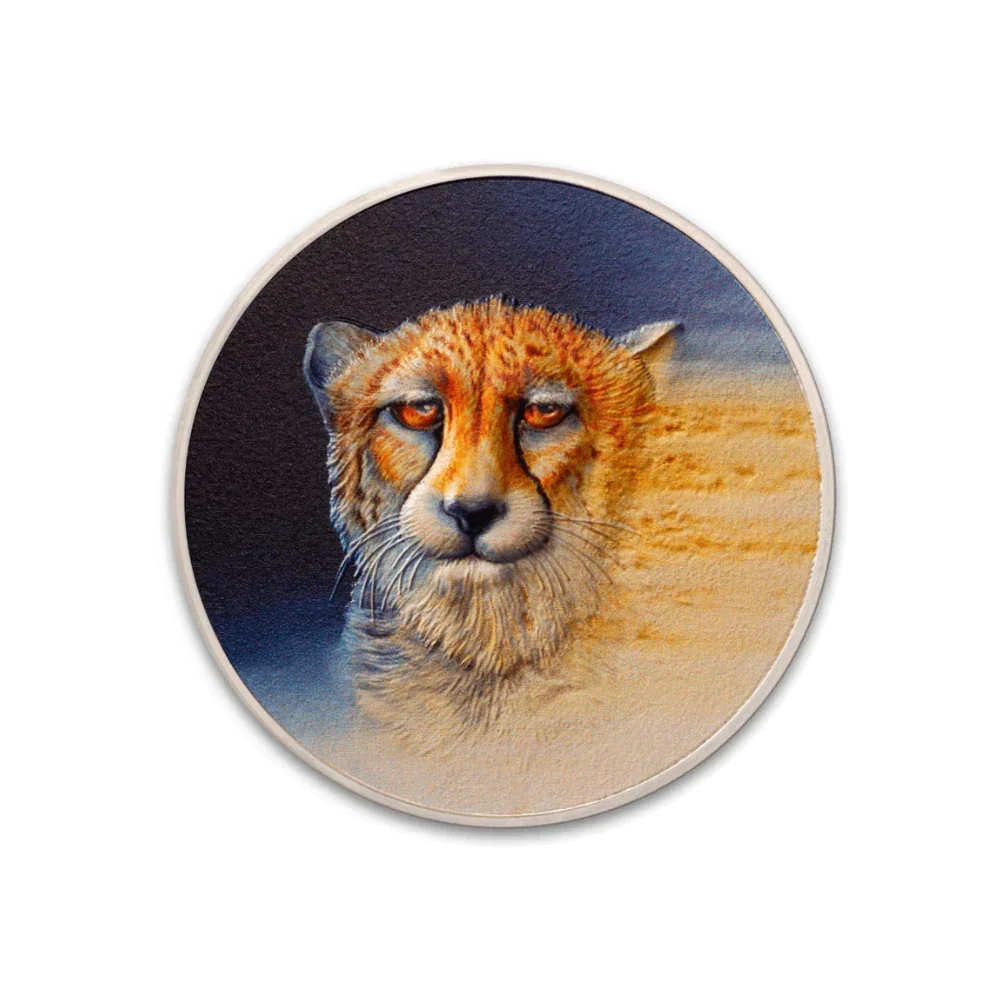 Palau - Asiatic Cheetah - Endangered Animals