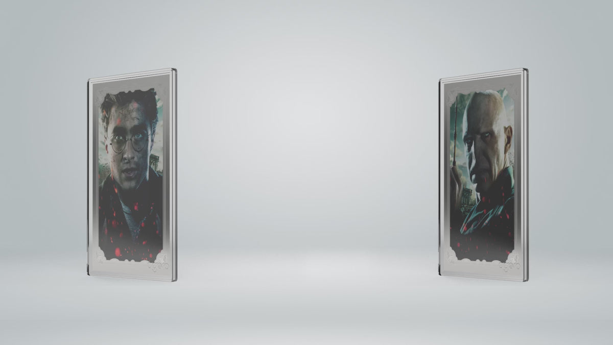 Niue - Harry Potter vs Voldemort Blind Box